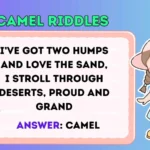 Camel Riddles