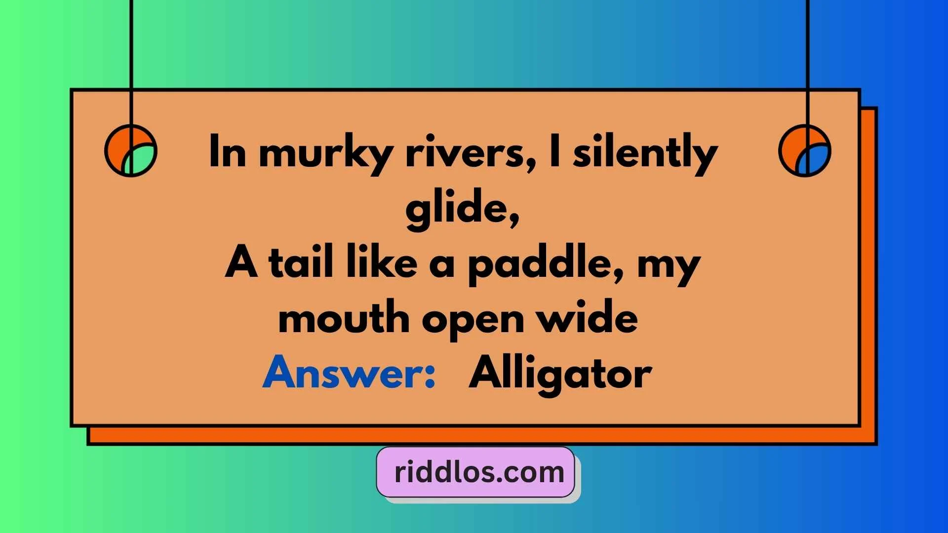 Alligator Riddles