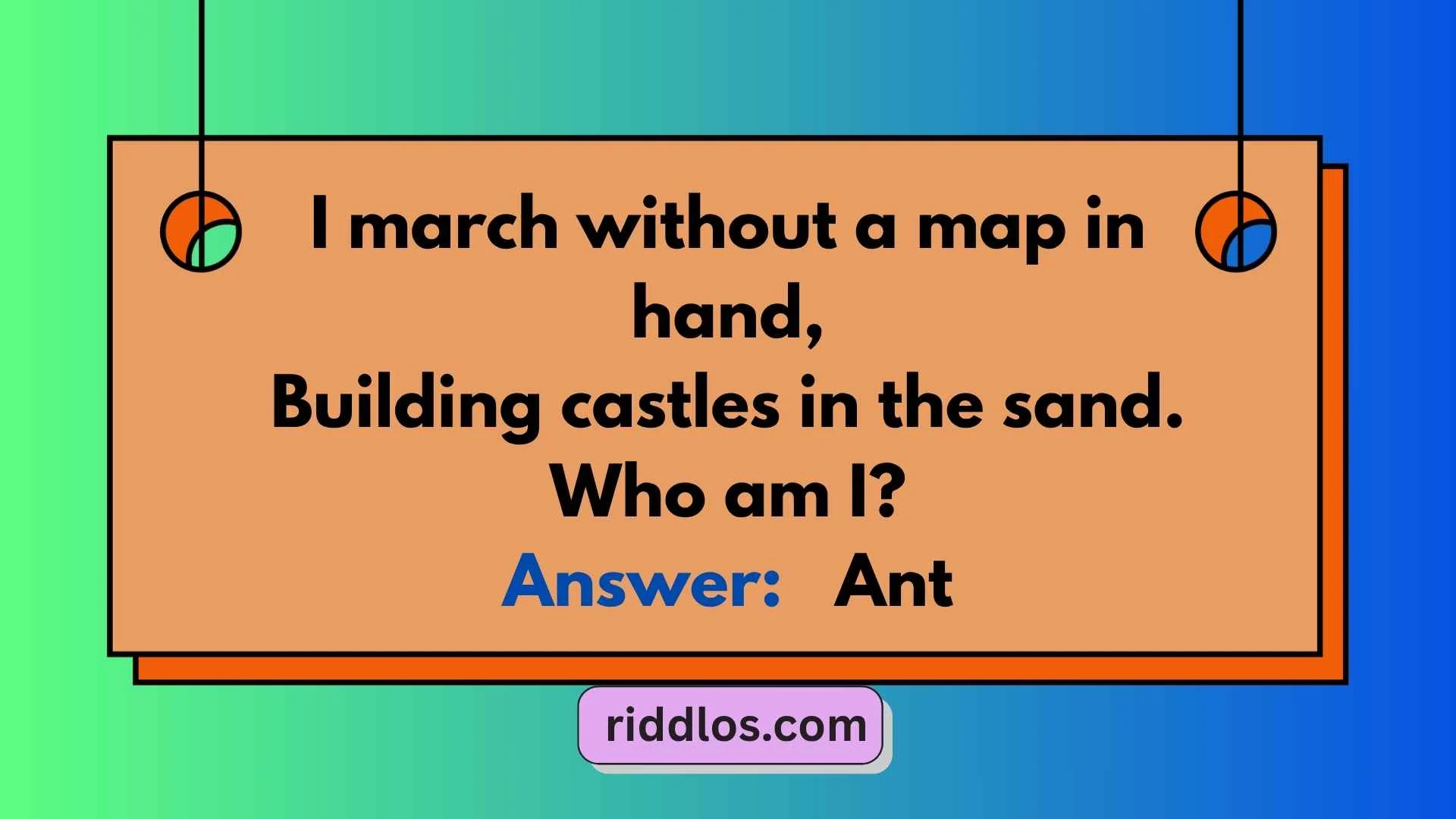 Best Ant Riddles