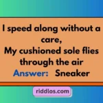 Best Shoe Riddles
