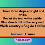 Creative Flag Riddles