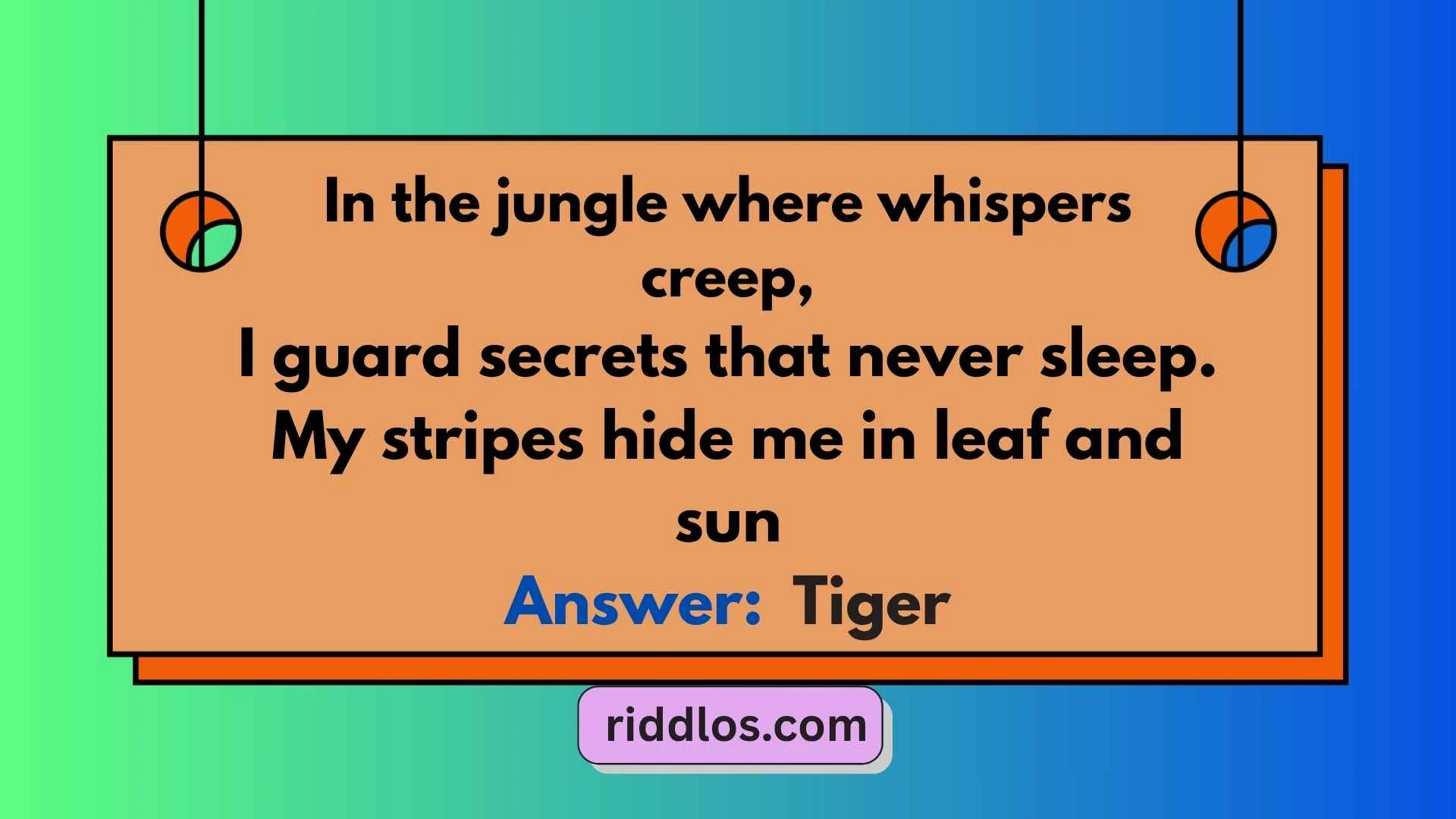 Jumanji Riddles