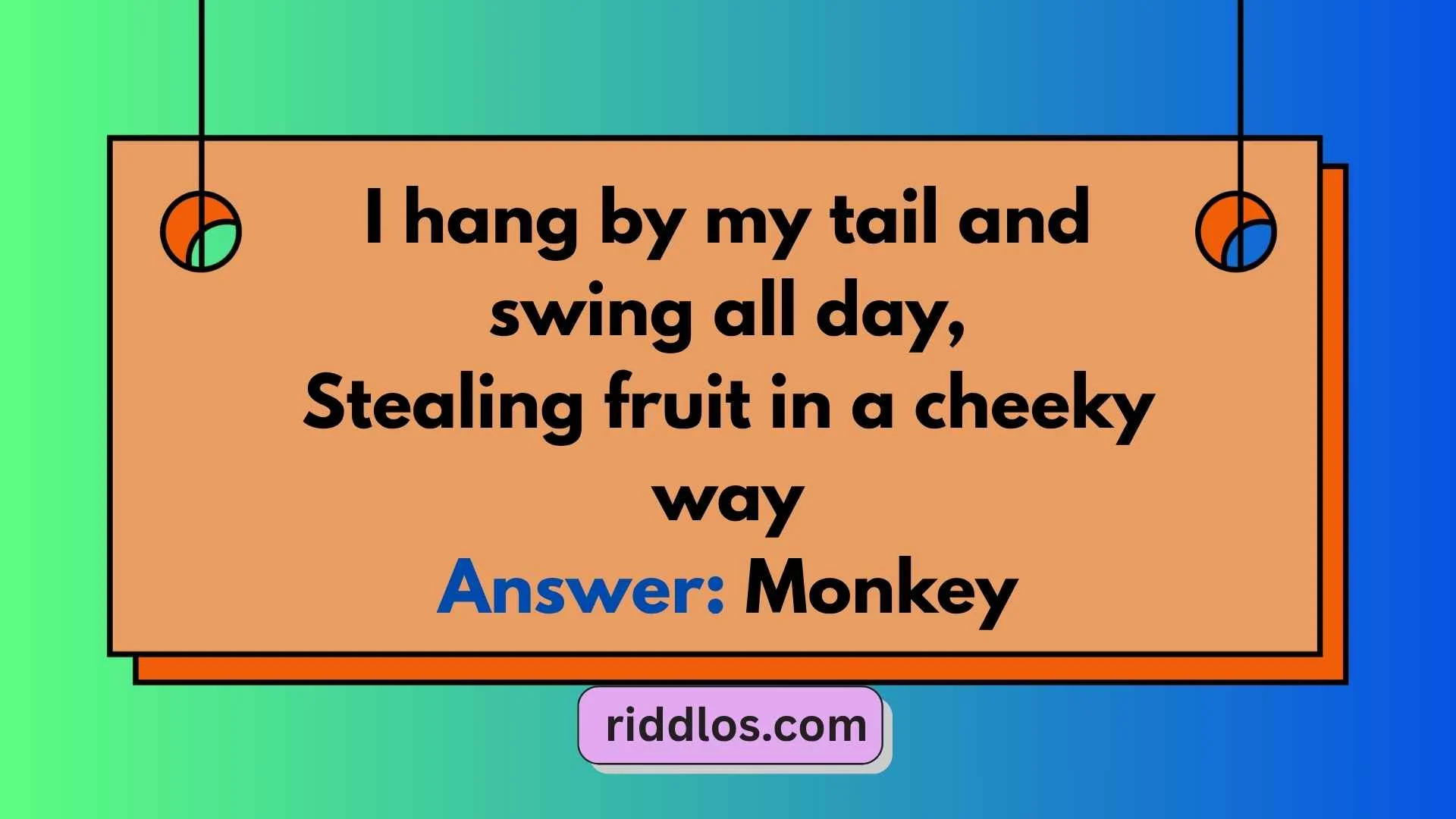 Jungle Riddles