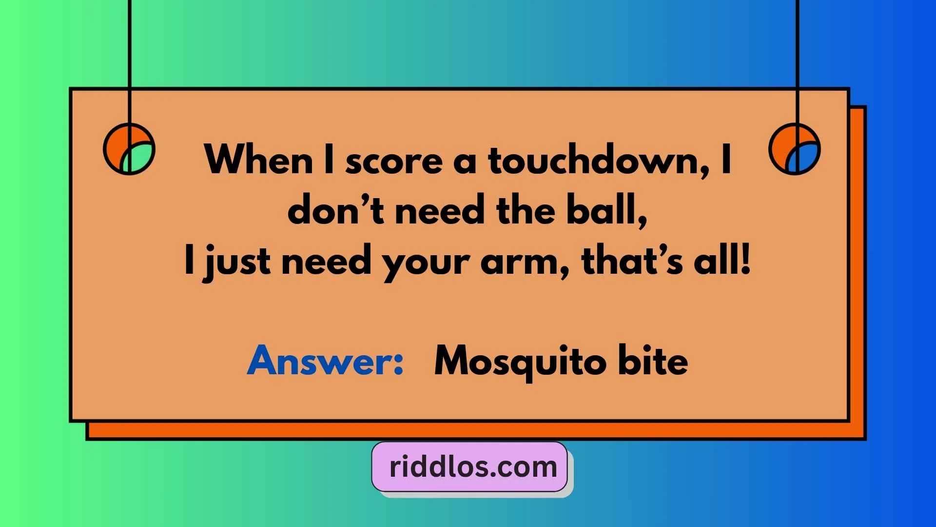Mosquito Riddles