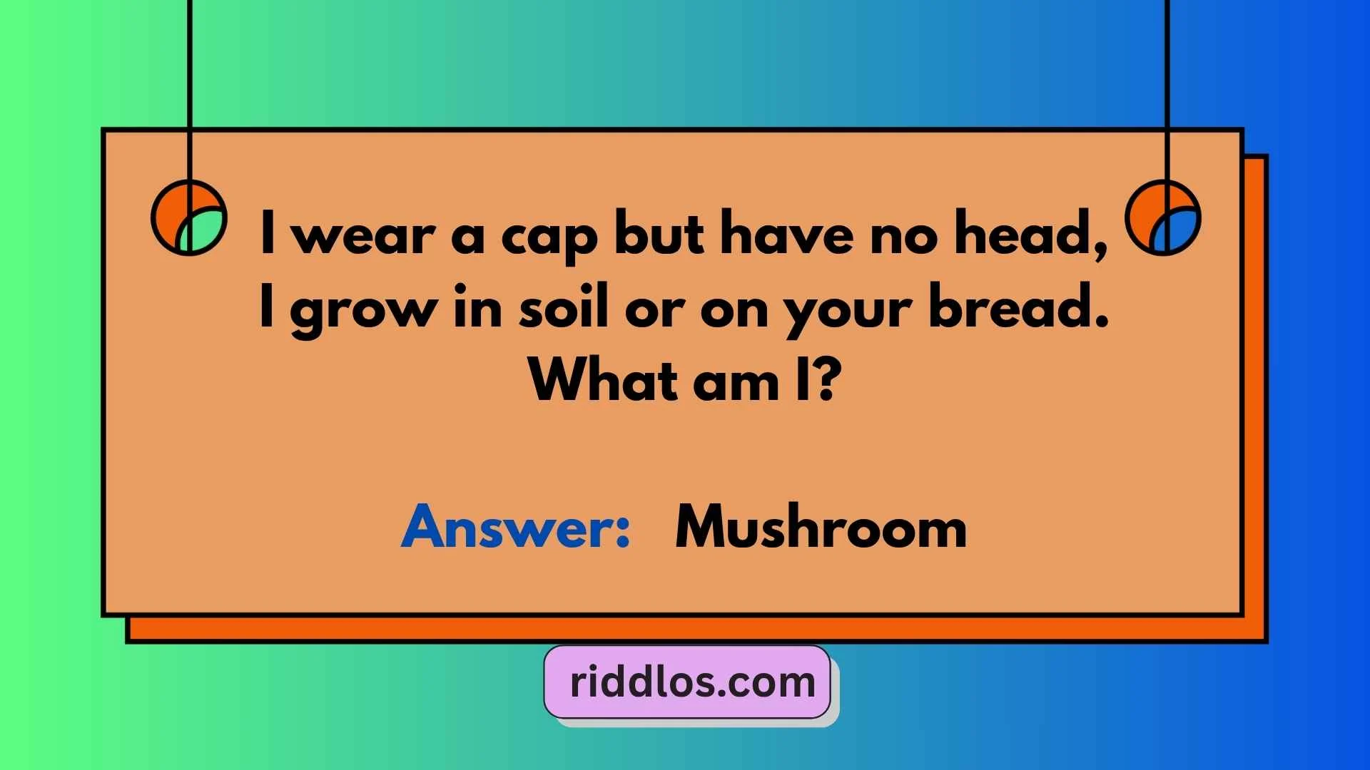 Mushroom Riddles