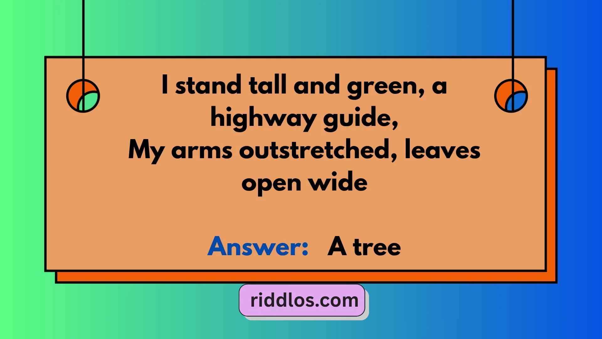 Road Trip Riddles