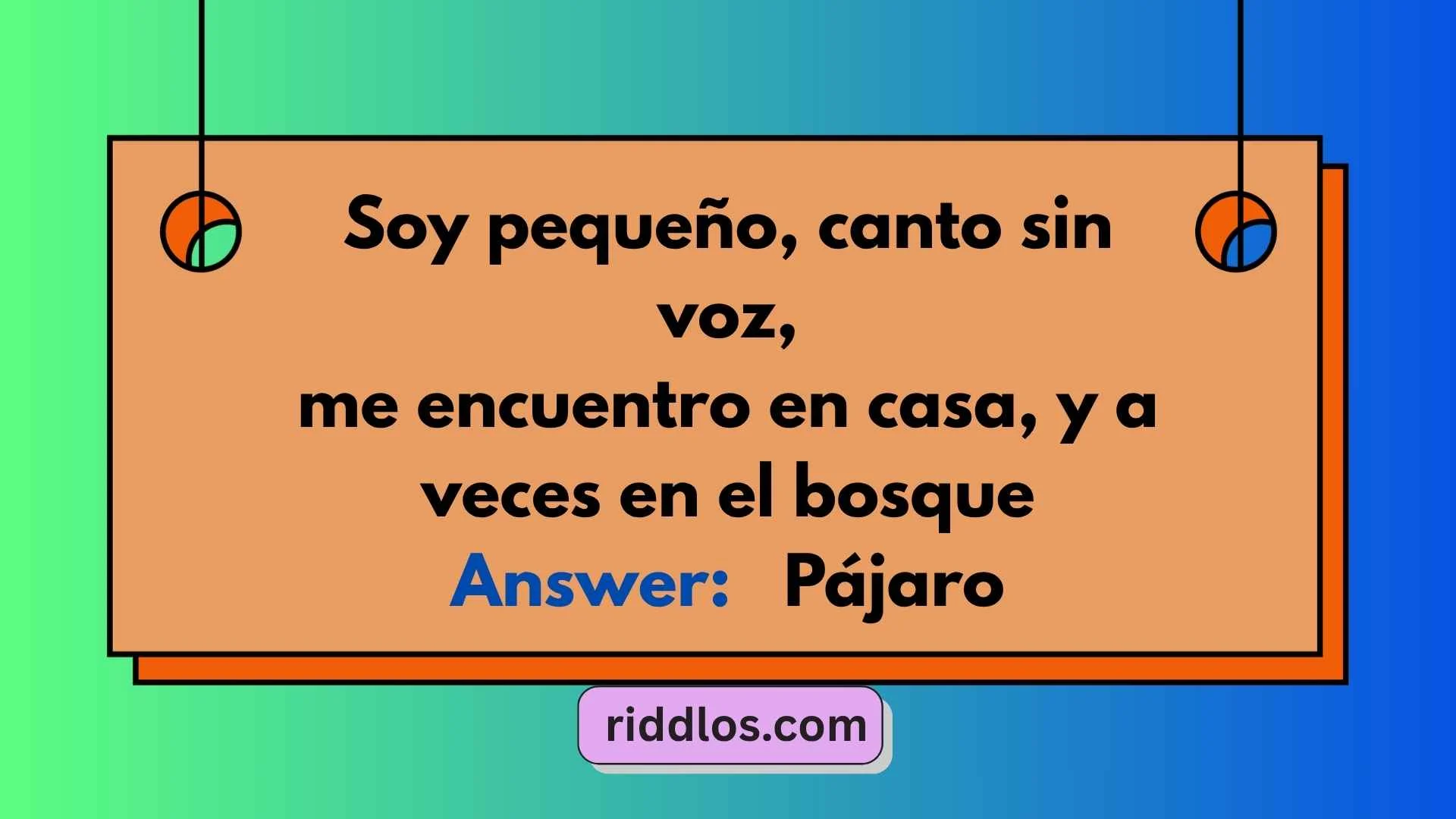 Spanish Riddles