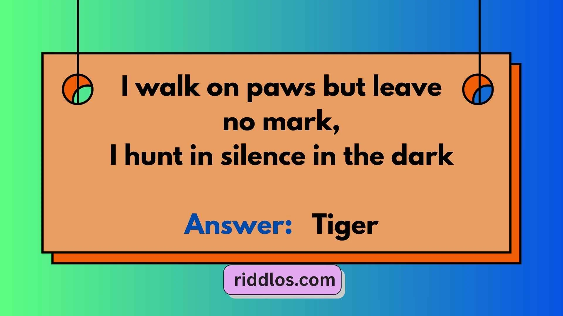 Tiger Riddles
