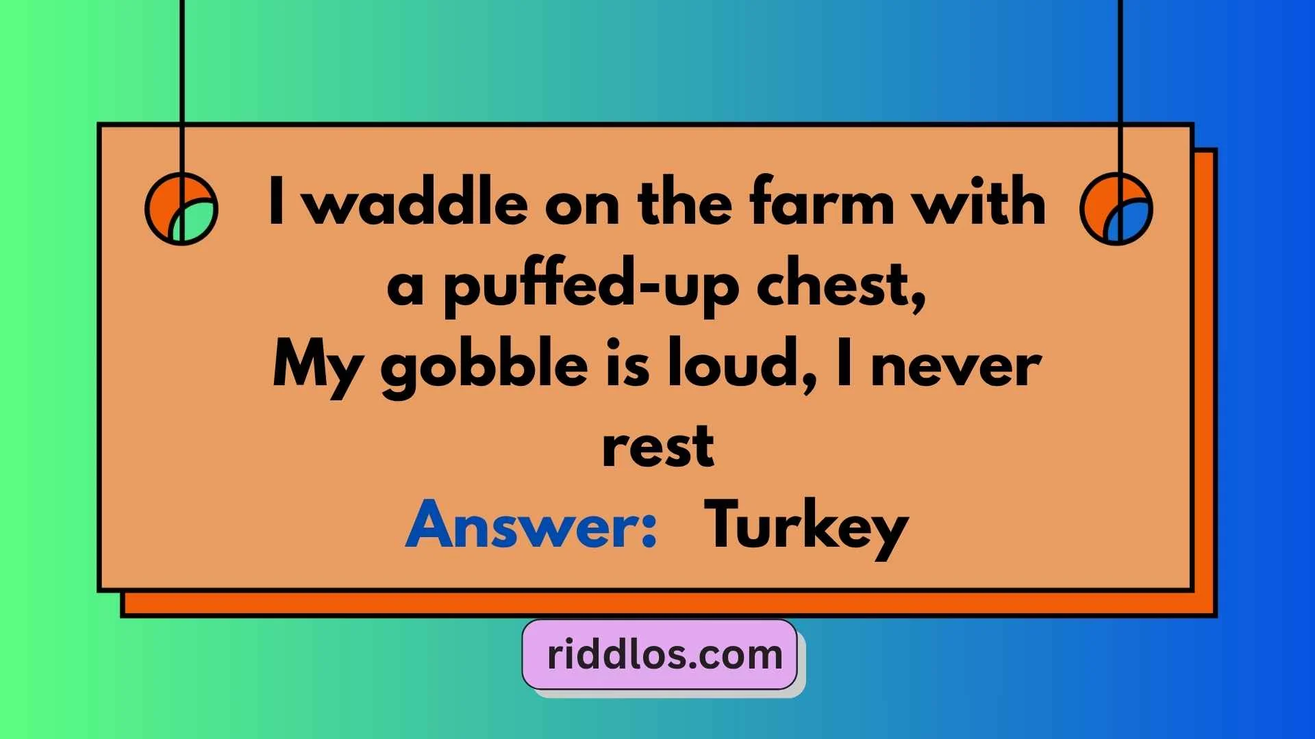 Turkey Riddles