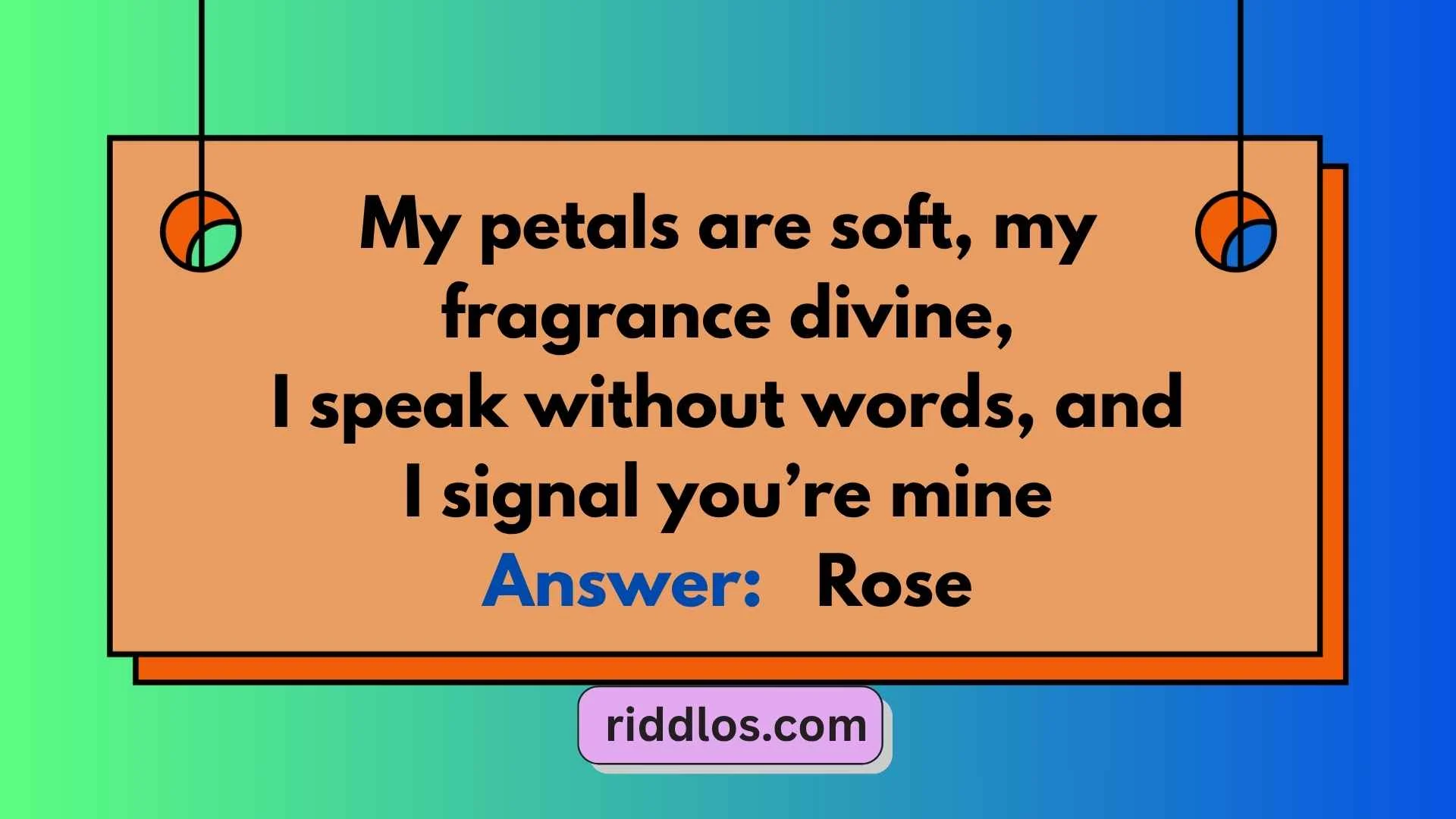 Valentines Day Riddles