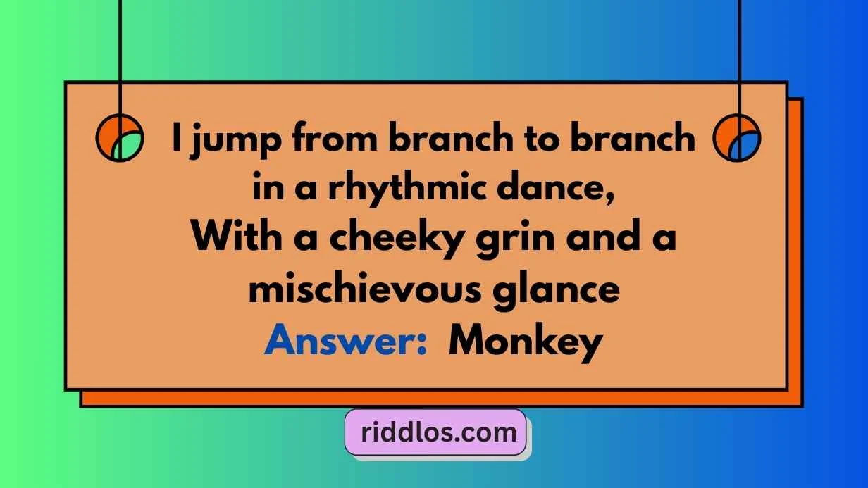 Best Monkey Riddles