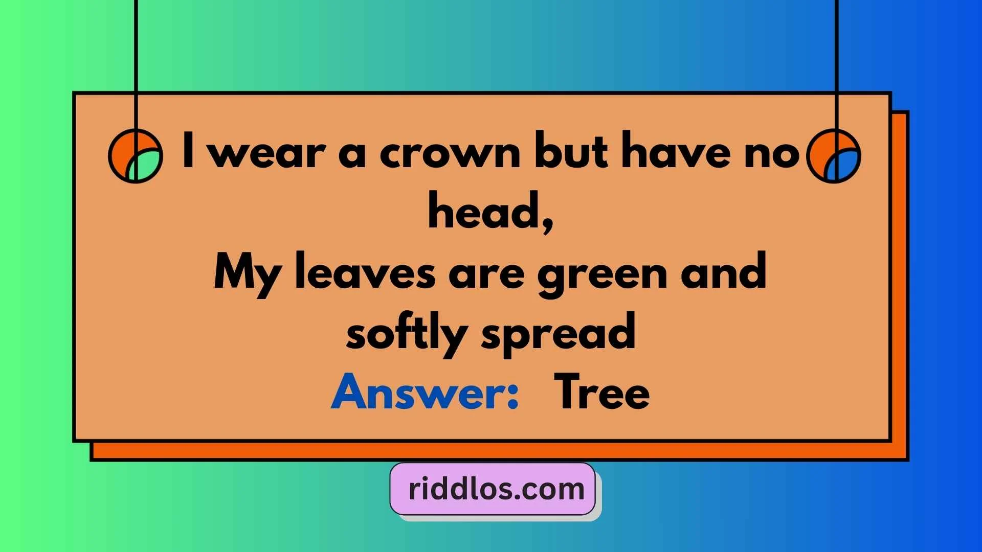 Forest Riddles