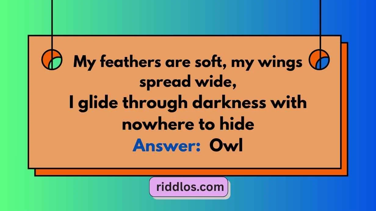 Fun Owl Riddles
