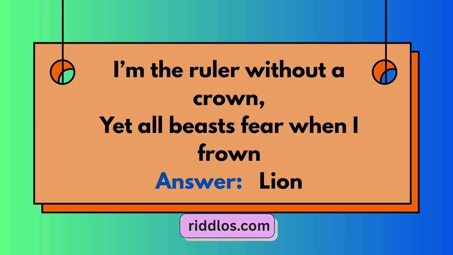 Lion Riddles