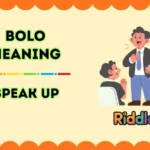Bolo Meaning