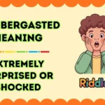 Flabbergasted Meaning