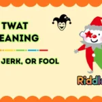 Twat Meaning